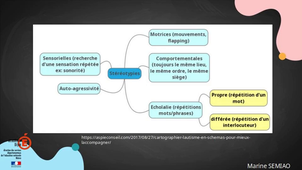 les particularités sensorielles