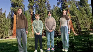 SEQUOIA.MOV