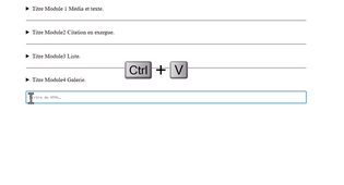 WP30_html_personnalise.mp4