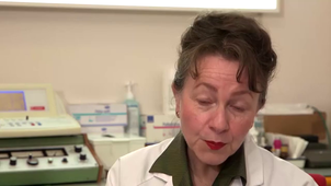 MGEN_GCD 058 modifs corinne - 17-01-2017.mp4