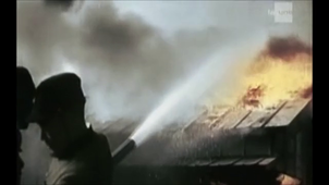 Vidéo - Iwo Jima.mp4