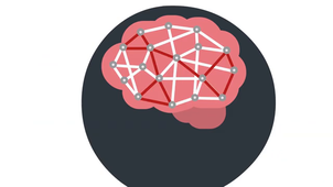 2. Que se passe-t-il dans mon cerveau lorsque j'apprends ?