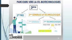 ORIENTATION STVST        Environnement: du Gris au Vert