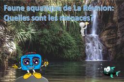 3# Faune aquatique de La Réunion : Quelles sont les menaces ?