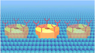 Action de la nicotine