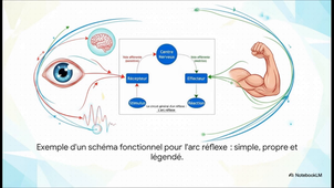 Bac_SVT__video de présentation de l'exercice 1.mp4