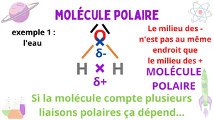 03 1ère Spé Bilan 1 (NGaliot).mp4