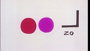 Shadok - les 3 représentations du nombre.mp4