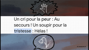 Fiche 9 - J_exprime mes émotions.mp4