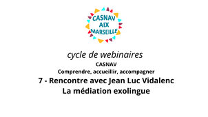 EDITION V5 VIDEO VIDALENC webinaire.mp4