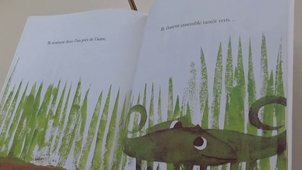 Une histoire de caméléon en japonais.mp4