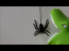 la couleur des emotions V3 Windal.wmv