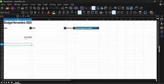 Changer format Cellule Libre Office.mp4