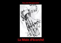 La Main d'écorché de Guy de Maupassant extrait 1 lu par Séléna