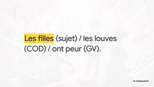 Traduire_une_phrase_latine.mp4