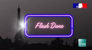 Flash DANE #12  