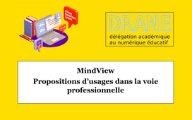 webinaire PNL Mindview
