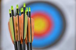 Le tir à l'arc et le club des Archers Pieusais