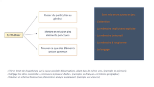 Webinaire devoirs-faits et pédagogie différenciée 12-12-2022