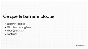 Conception_&_Contraception.mp4