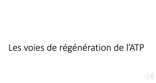 Les voies de régénération de l'ATP