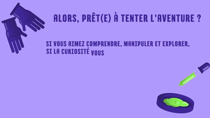 Physique-Chimie - Présentation de l'option Sciences et Laboratoire (Seconde)