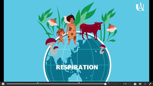 Ada - Exemple de vidéo interactive - photosynthèse niveau 5eme