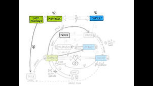 Romeo and Juliet – explained visually in under 3 minutes.mp4