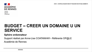 BUDGET - CREER UN DOMAINE OU UN SERVICE