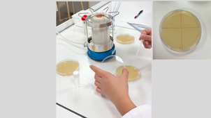 ONB_2026_Lycée Sainte Thérèse.mp4