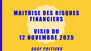 Visio 12 novembre 2025 MRCF - SAAF Poitiers