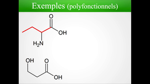 CTM4a-4 : Nomenclature (généralités)