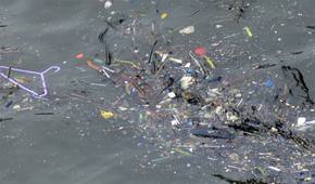 Pollution plastique dans les océans : quels types de plastique existent ?