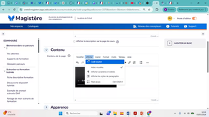 Insérer une vidéo externe dans un parcours Magistère