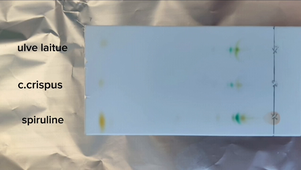 OAB_2026_BREST-Lycée Amiral Ronarc'h