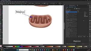 Mise en pratique #2 - Inkscape - tracer un vecteur et le convertir en flèche