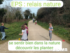 Ecole dehors : CE1 chez Muriel (cesson bourg)