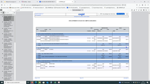 Solde extourne en n+1