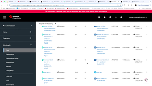 JSR 2025-3 REDHAT.mp4