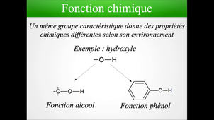 CTM4a-2 : Familles fonctionnelles