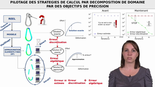 Pilotage des stratégies de calcul par décomposition de domaine par des objectifs de précision
