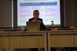 Extrait 1 intervention Serge Paugam