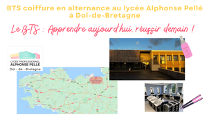Le BTS coiffure en alternance au lycée professionnel Alphonse Pellé