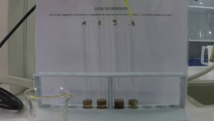 CATALYSE HOMOGENE