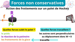 10 1ère Spé Vidéo 2.mp4