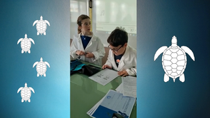 2025/2026 Conférence autour des tortues marines