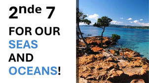 Vidéo 2nde7 - Lycée JP de Rocca Serra.mp4