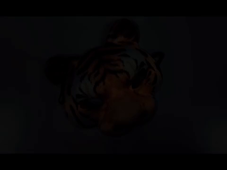 Vidéo NAH 3PM Ludovic Ménard.mov