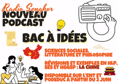 Podcast : Bac à idées