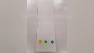 Chromatographie colorants alimentaires